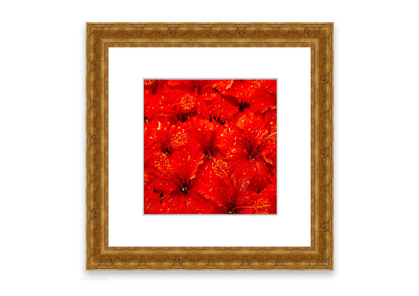 Framed print of vibrant red leaves, showcasing autumn colors, ready to hang.
