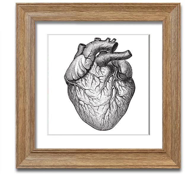 Anatomy Of The Heart Square Framed Print showcasing detailed heart anatomy illustration in a stylish frame.