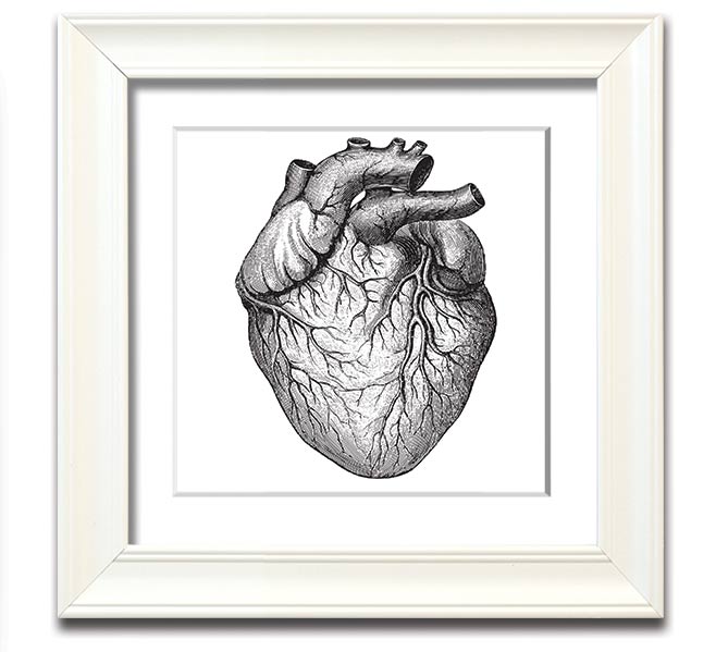Anatomy Of The Heart Square Framed Print showcasing detailed heart anatomy illustration in a stylish frame.