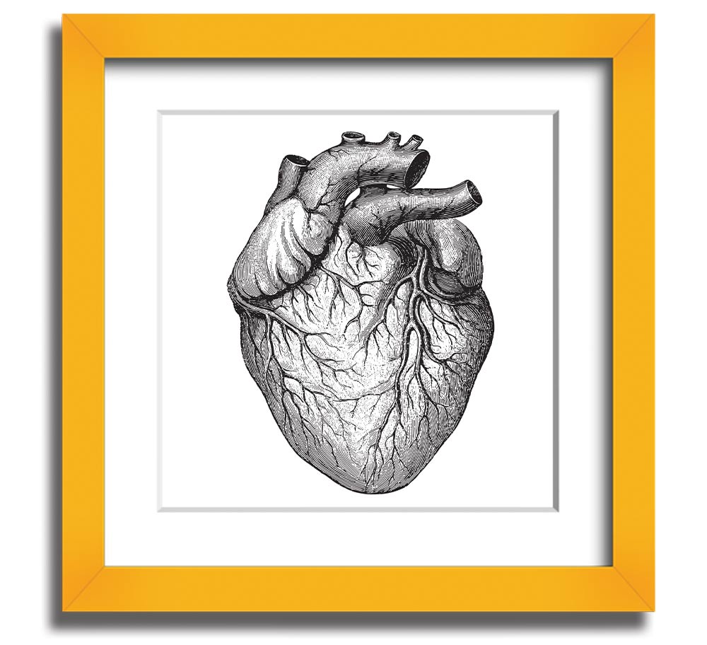 Anatomy Of The Heart Square Framed Print showcasing detailed heart anatomy illustration in a stylish frame.