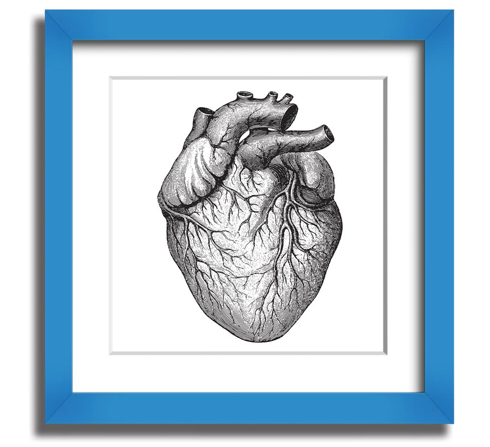 Anatomy Of The Heart Square Framed Print showcasing detailed heart anatomy illustration in a stylish frame.