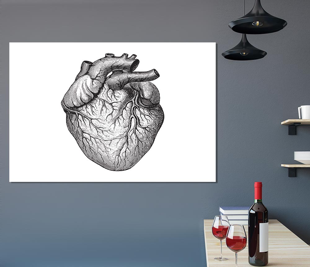 Anatomy Of The Heart poster on high-quality canvas, featuring detailed heart structure illustration.