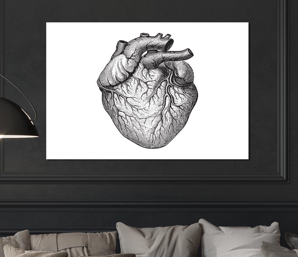 Anatomy Of The Heart poster on high-quality canvas, featuring detailed heart structure illustration.