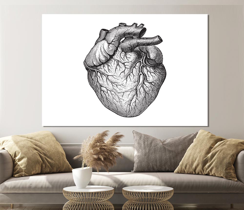 Anatomy Of The Heart poster on high-quality canvas, featuring detailed heart structure illustration.