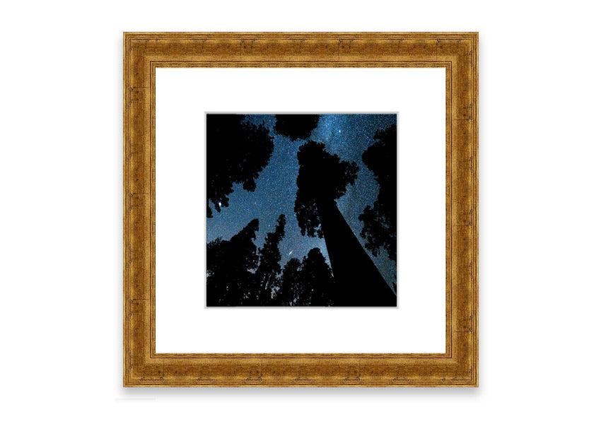 Framed print of Andromeda and the Milky Way above Oregon, showcasing stunning cosmic details.