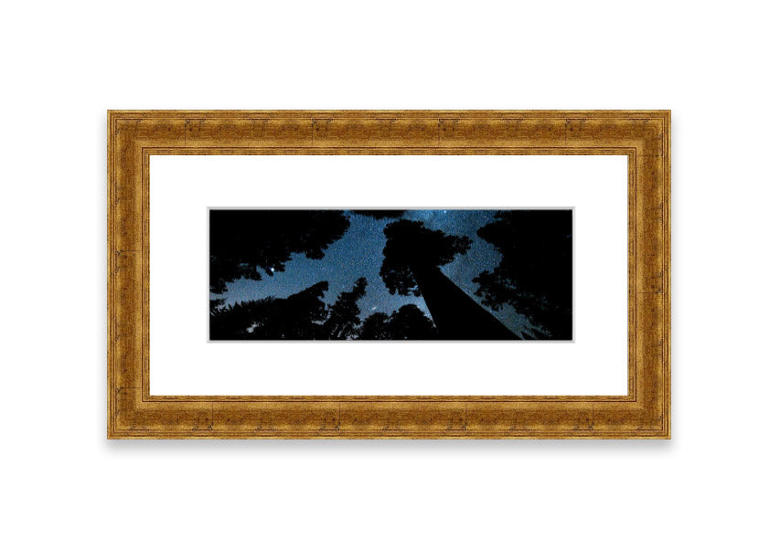 Framed print of Andromeda and the Milky Way above Oregon, showcasing stunning cosmic details.