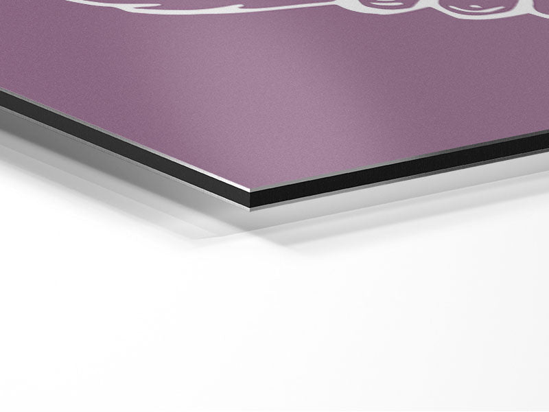 Angel Wings Dusty Pink artwork printed on brushed aluminium dibond, showcasing elegant wings in soft pink tones.