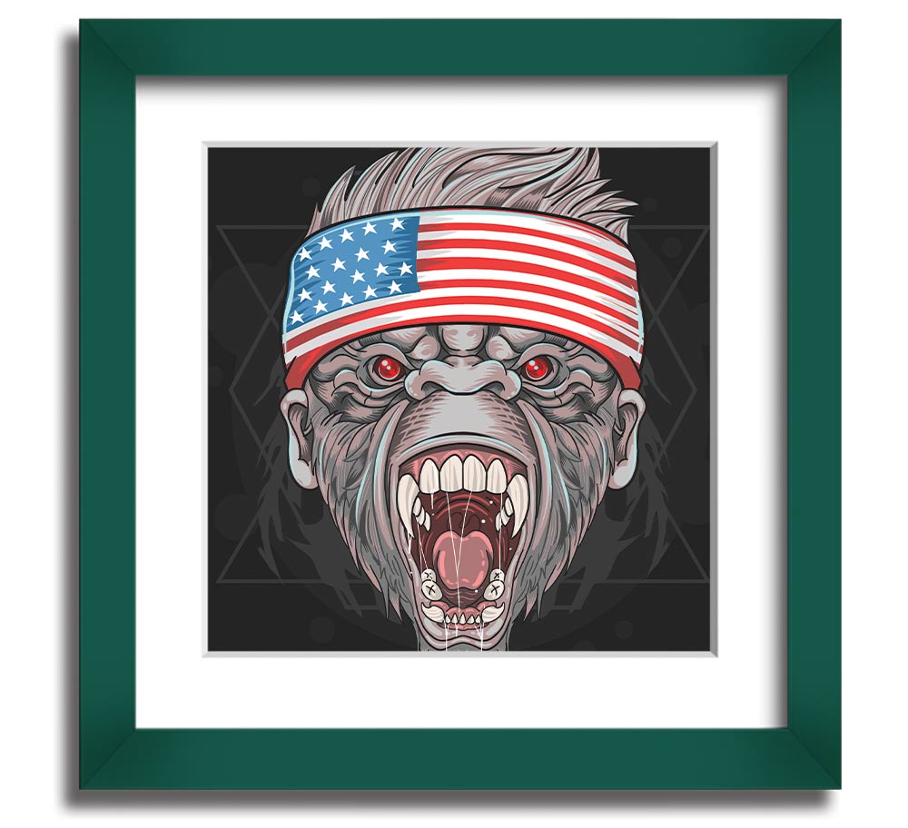 Angry Gorilla American Flag Square Framed Print showcasing a fierce gorilla against the American flag background.