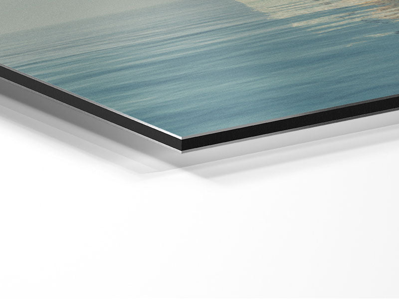 A vibrant artwork of the Animal Kingdom Boat Ride printed on brushed aluminium dibond, showcasing colorful wildlife and modern design.