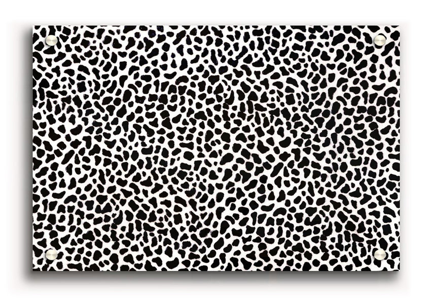 A vibrant animal print acrylic print, showcasing intricate patterns on a 5mm thick acrylic glass, ready to hang on a wall.