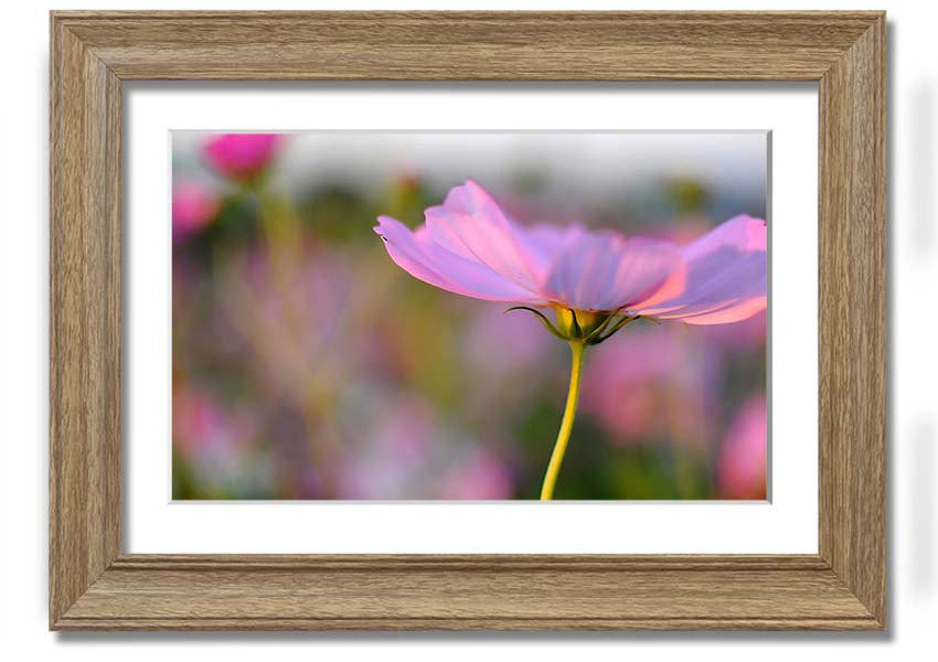 Framed print of a vibrant poppy flower, handmade in the UK, available in various frame colors.