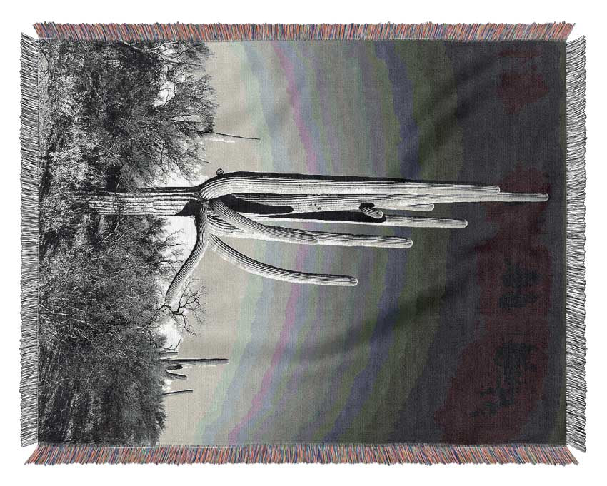 Ansel Adams Cactus Throw blanket featuring a beautiful cactus design inspired by Saguaro National Monument in Arizona, made from 100% cotton.