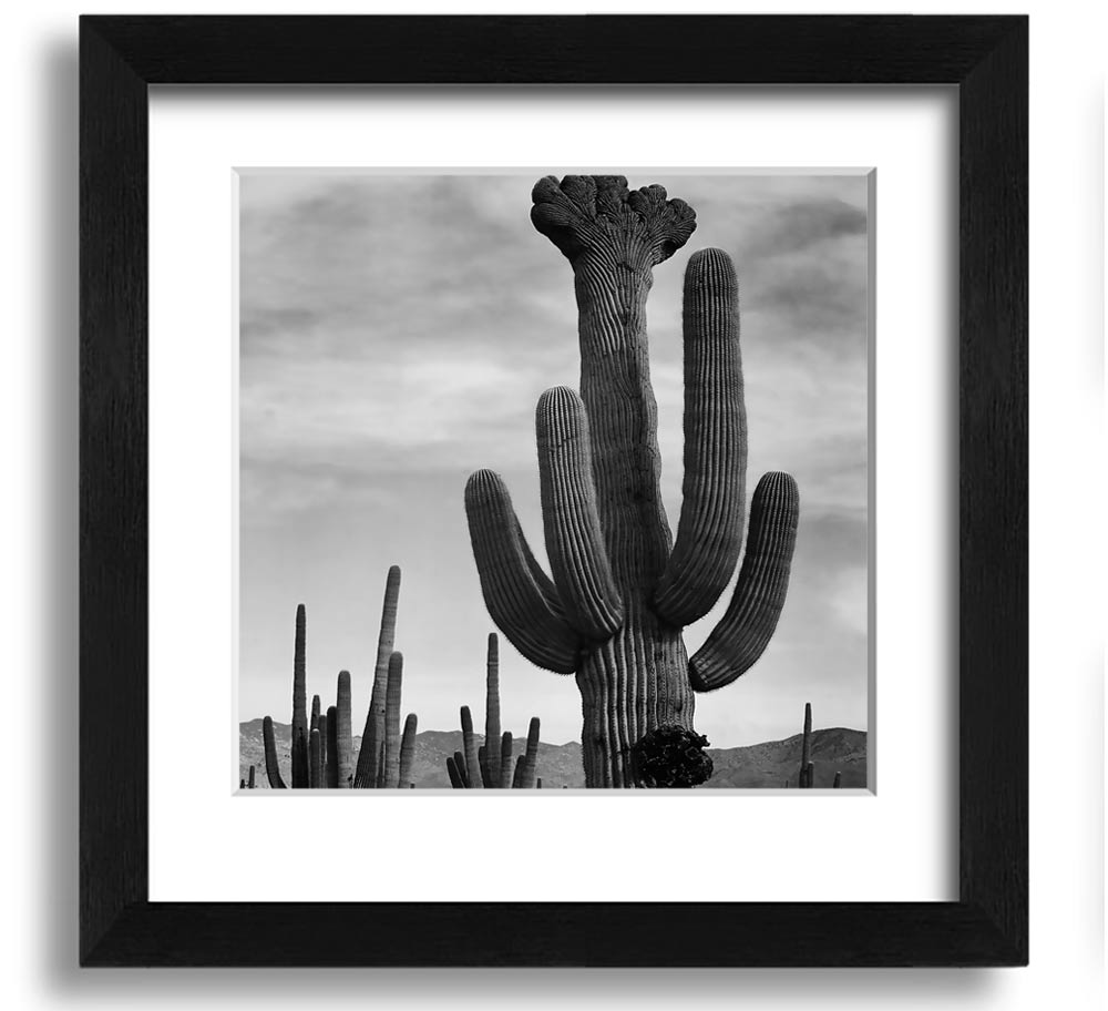 Black and white framed print of a cactus in Saguaro National Monument by Ansel Adams, showcasing intricate desert details.
