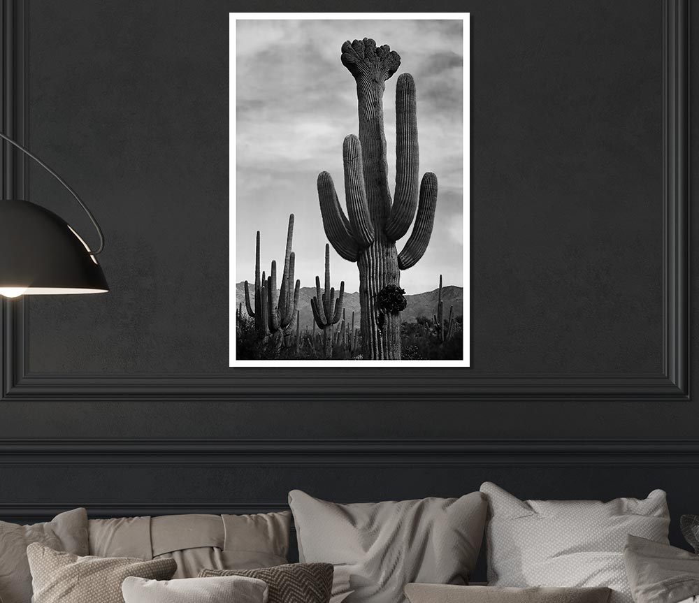 Ansel Adams' black and white canvas print of a cactus in Saguaro National Monument, Arizona, showcasing desert beauty.