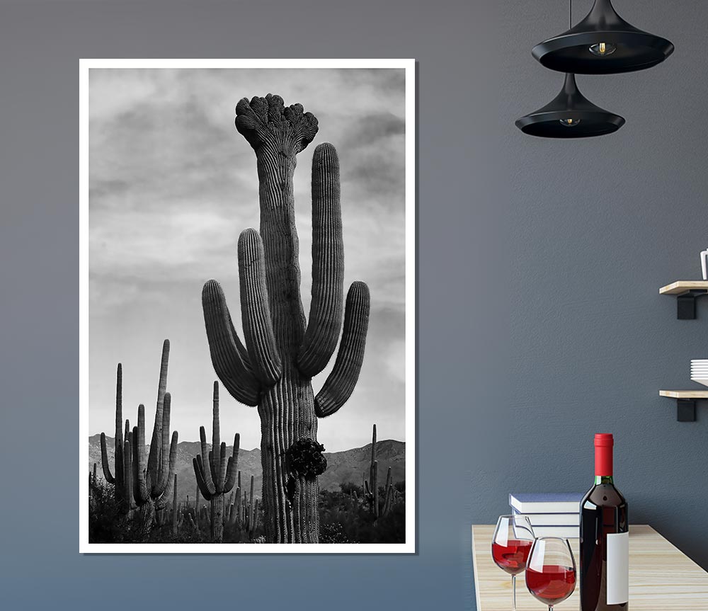 Ansel Adams' black and white canvas print of a cactus in Saguaro National Monument, Arizona, showcasing desert beauty.