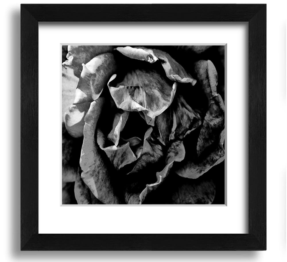 Anti Social Square Framed Print in multiple frame colors, handmade in the UK, ready to hang.