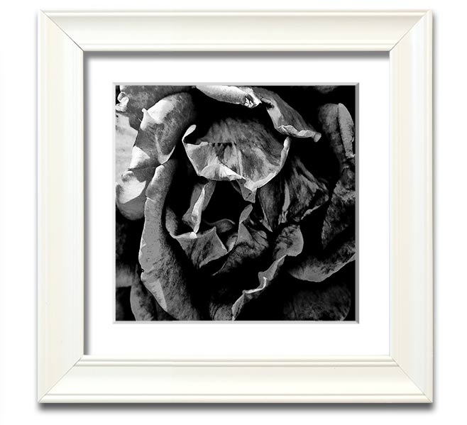 Anti Social Square Framed Print in multiple frame colors, handmade in the UK, ready to hang.