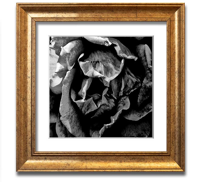 Anti Social Square Framed Print in multiple frame colors, handmade in the UK, ready to hang.