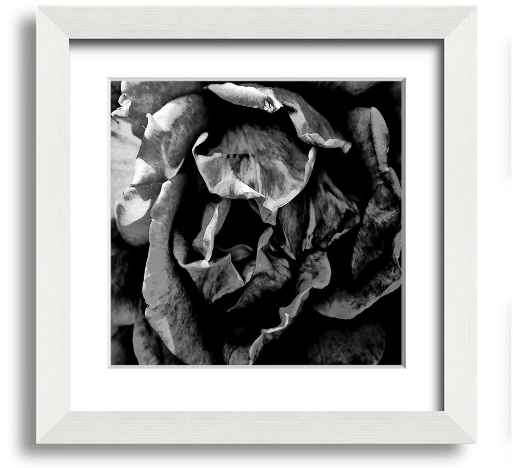 Anti Social Square Framed Print in multiple frame colors, handmade in the UK, ready to hang.