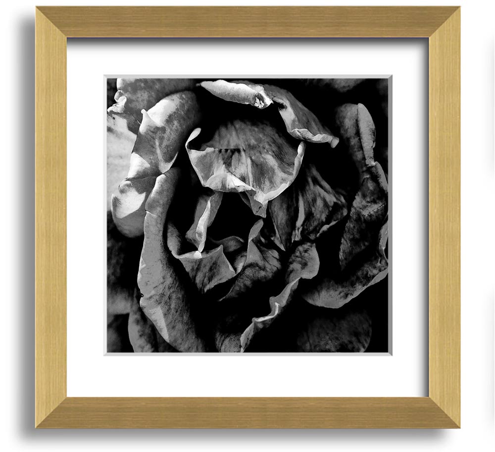 Anti Social Square Framed Print in multiple frame colors, handmade in the UK, ready to hang.