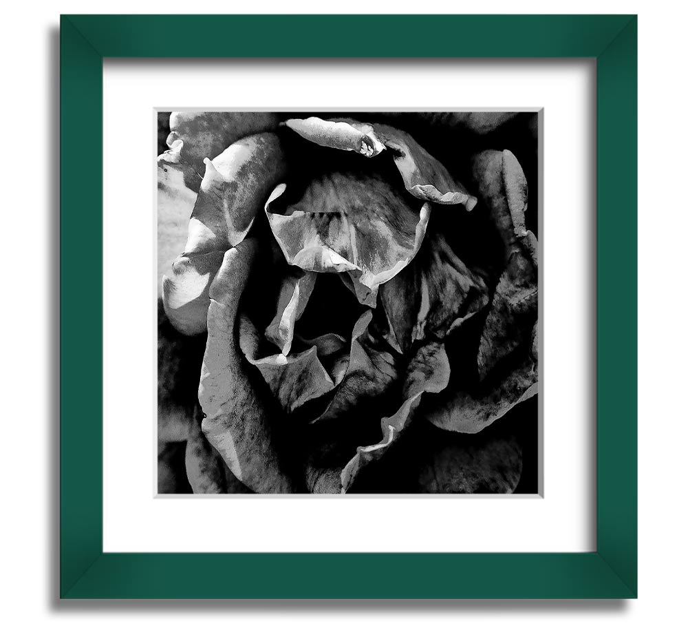 Anti Social Square Framed Print in multiple frame colors, handmade in the UK, ready to hang.