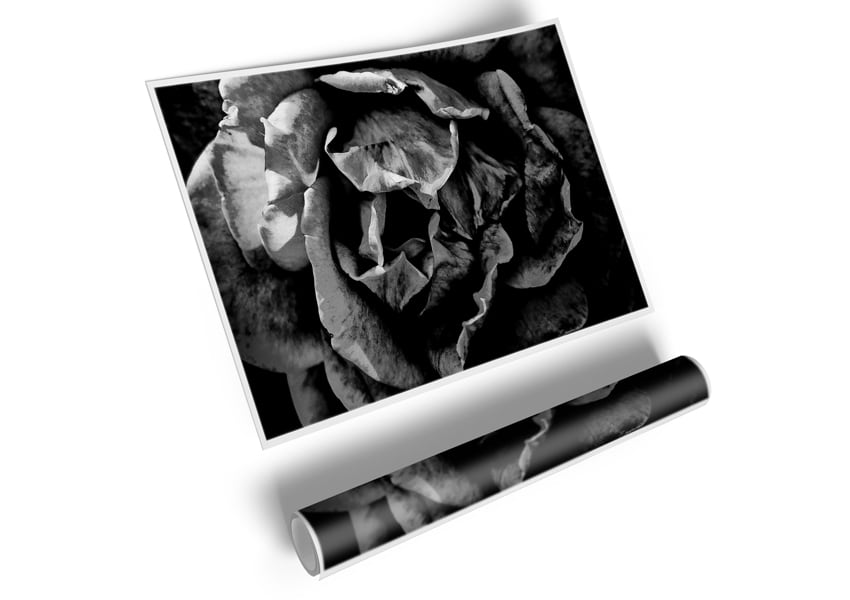 Anti Social canvas poster featuring bold design and vibrant colors, ready for display or framing.