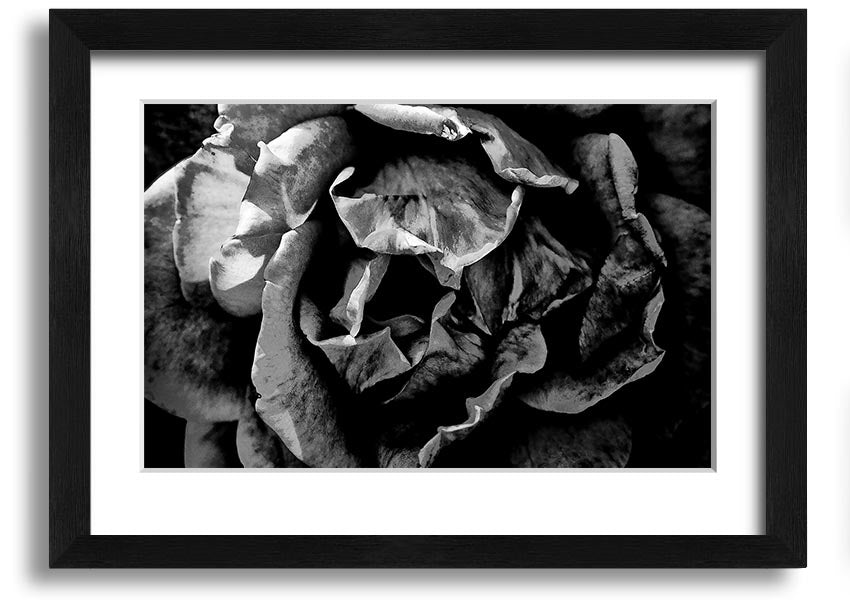 Anti Social framed print showcasing unique design, available in various frame colors, ready to hang.