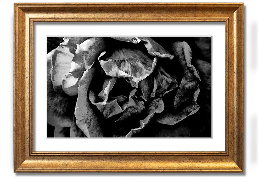 Anti Social framed print showcasing unique design, available in various frame colors, ready to hang.