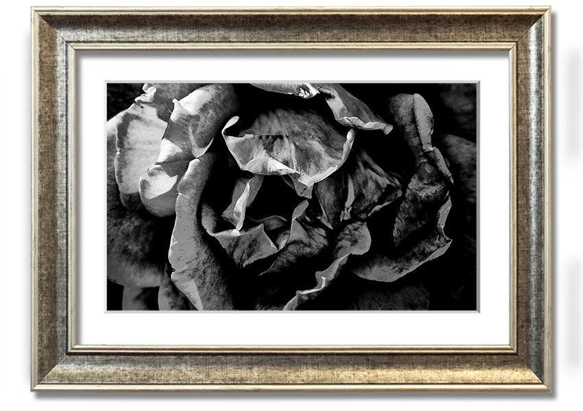 Anti Social framed print showcasing unique design, available in various frame colors, ready to hang.