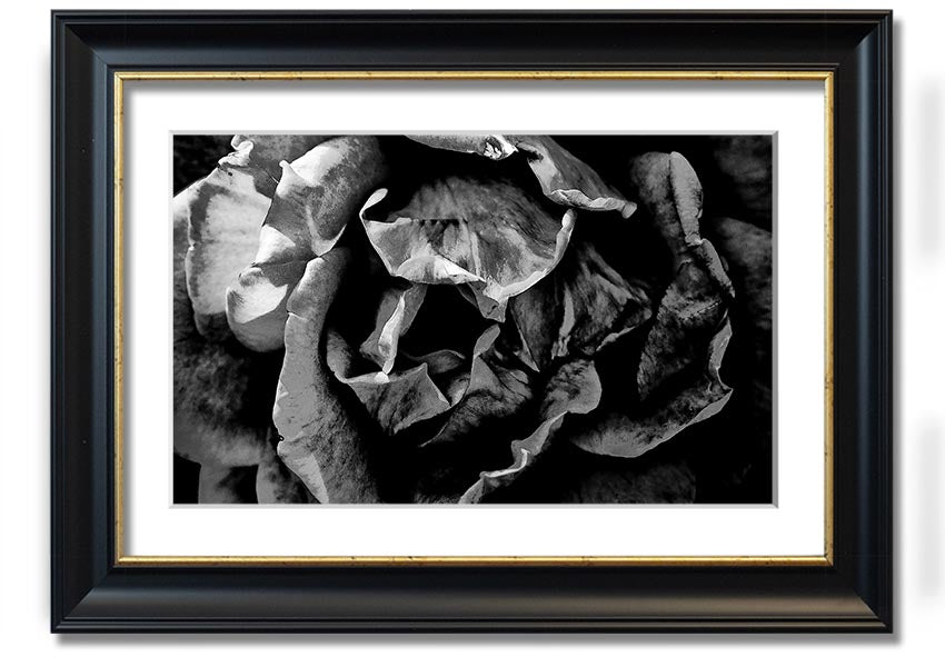 Anti Social framed print showcasing unique design, available in various frame colors, ready to hang.