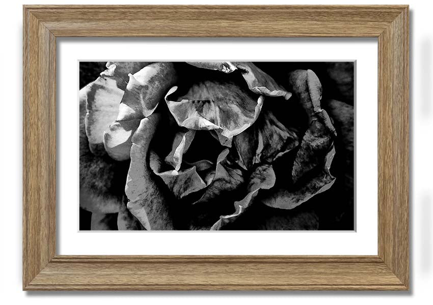 Anti Social framed print showcasing unique design, available in various frame colors, ready to hang.