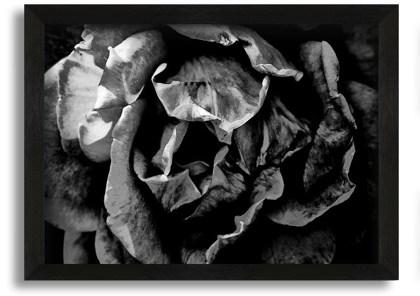 Anti Social framed print showcasing unique design, available in various frame colors, ready to hang.