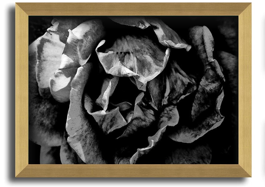 Anti Social framed print showcasing unique design, available in various frame colors, ready to hang.