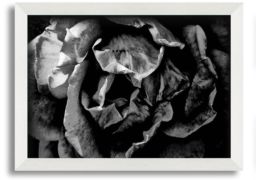 Anti Social framed print showcasing unique design, available in various frame colors, ready to hang.