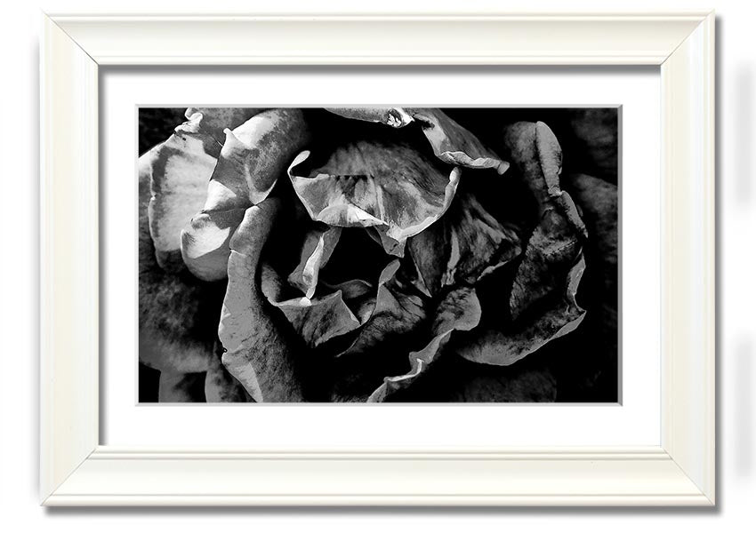 Anti Social framed print showcasing unique design, available in various frame colors, ready to hang.