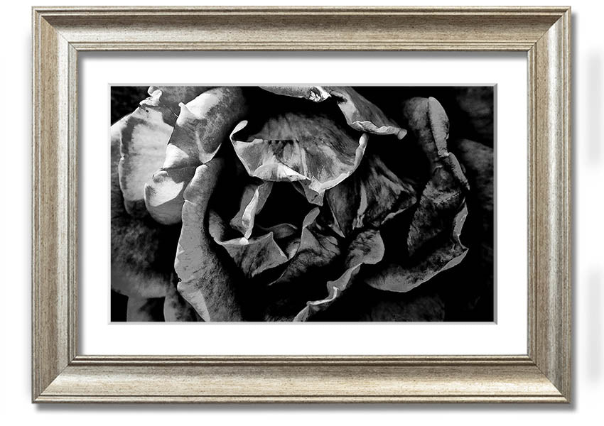 Anti Social framed print showcasing unique design, available in various frame colors, ready to hang.