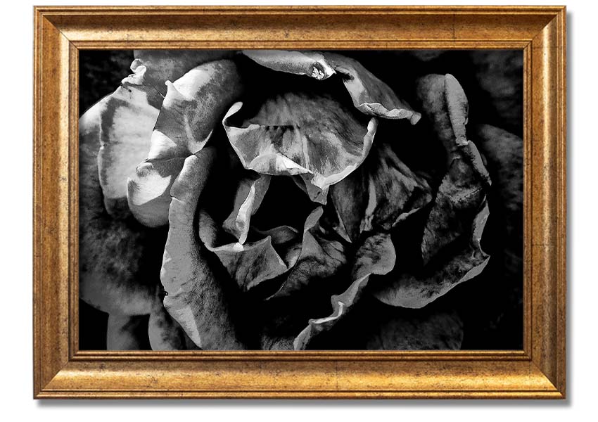 Anti Social framed print showcasing unique design, available in various frame colors, ready to hang.