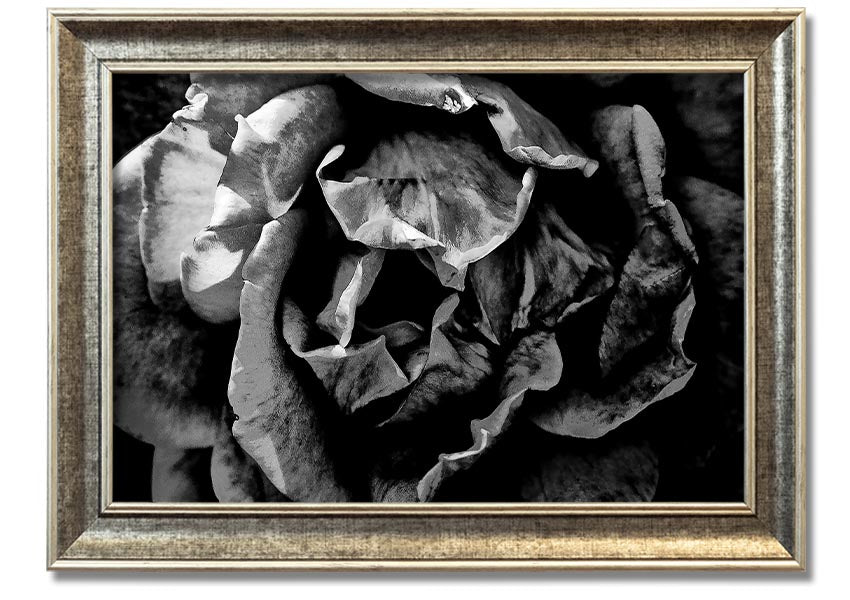 Anti Social framed print showcasing unique design, available in various frame colors, ready to hang.