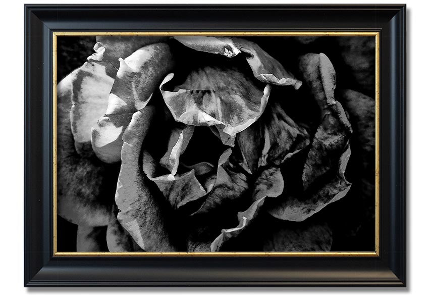 Anti Social framed print showcasing unique design, available in various frame colors, ready to hang.