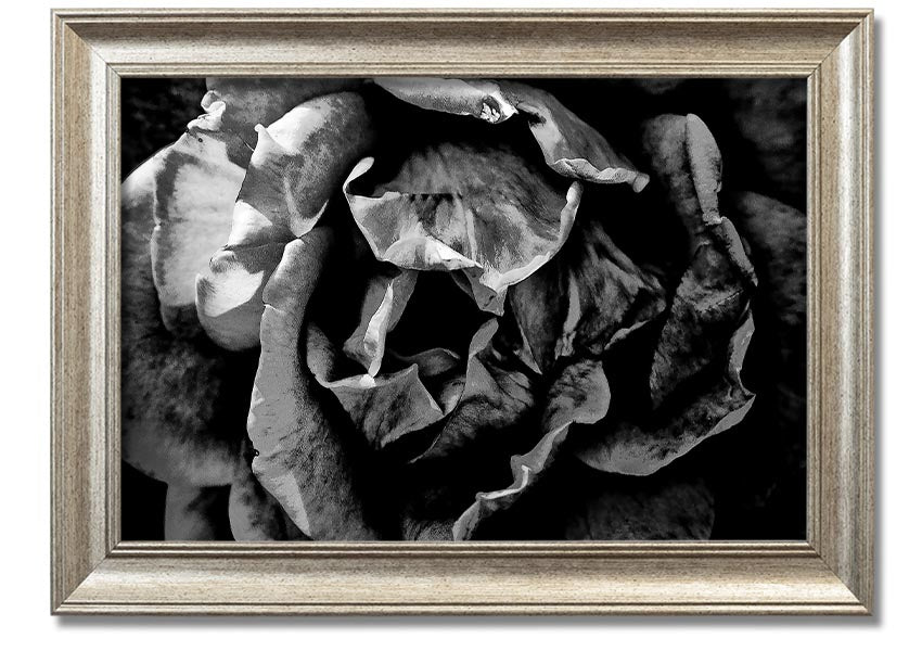 Anti Social framed print showcasing unique design, available in various frame colors, ready to hang.