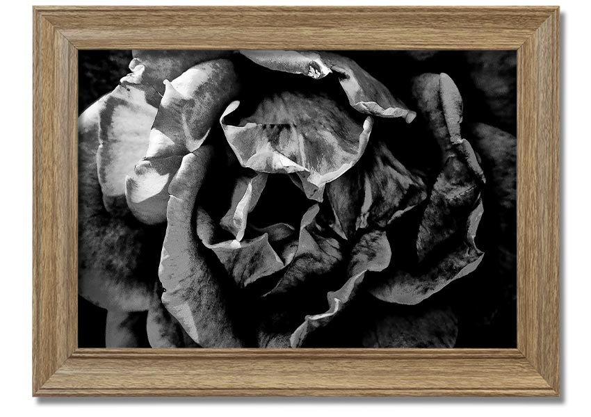 Anti Social framed print showcasing unique design, available in various frame colors, ready to hang.