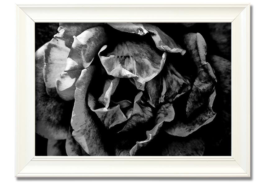 Anti Social framed print showcasing unique design, available in various frame colors, ready to hang.