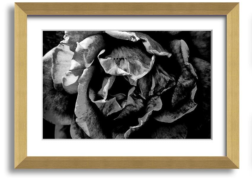 Anti Social framed print showcasing unique design, available in various frame colors, ready to hang.