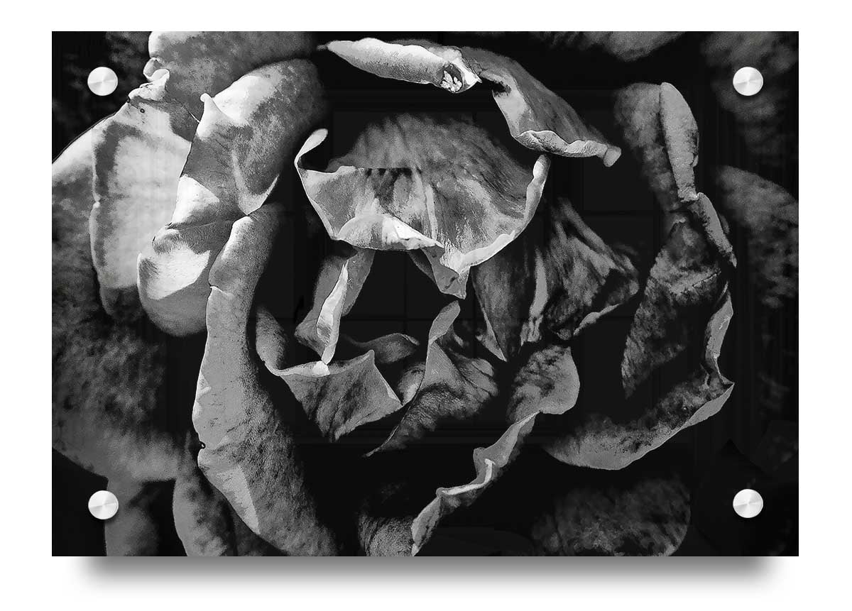 Anti Social acrylic print on 5mm thick acrylic glass, showcasing vibrant colors and modern design.