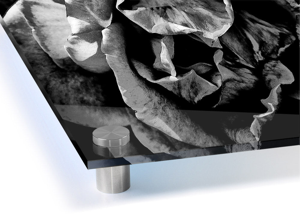 Anti Social acrylic print on 5mm thick acrylic glass, showcasing vibrant colors and modern design.