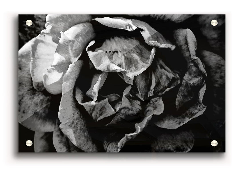 Anti Social acrylic print on 5mm thick acrylic glass, showcasing vibrant colors and modern design.