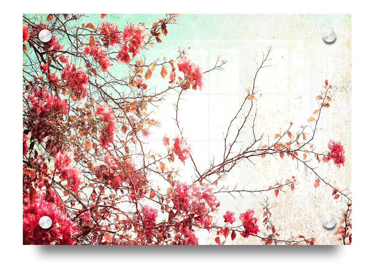 Antique Background acrylic print showcasing a vintage design on 5mm thick acrylic glass, ready to hang.