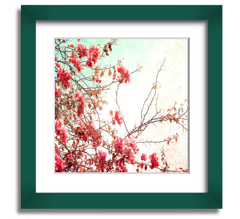 Antique Cherry Blossom Square Framed Print showcasing delicate cherry blossoms in a stylish frame.