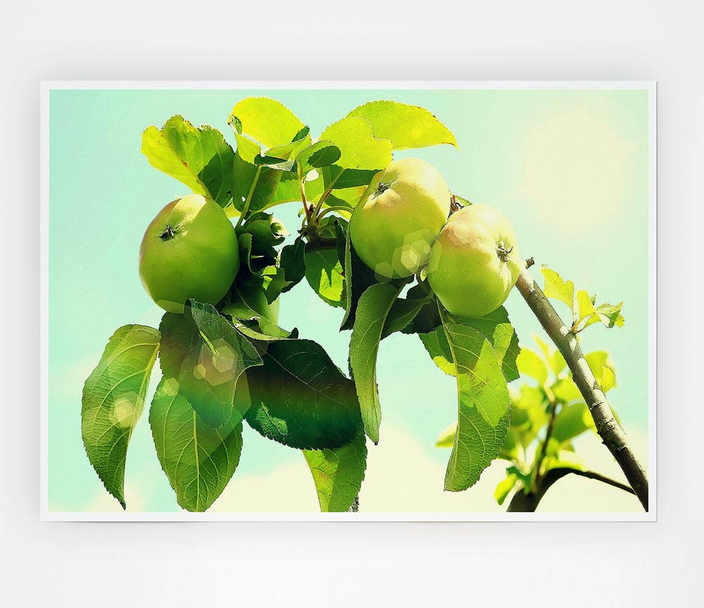 A vibrant Apple Tree poster printed on high-quality canvas, showcasing detailed leaves and apples.