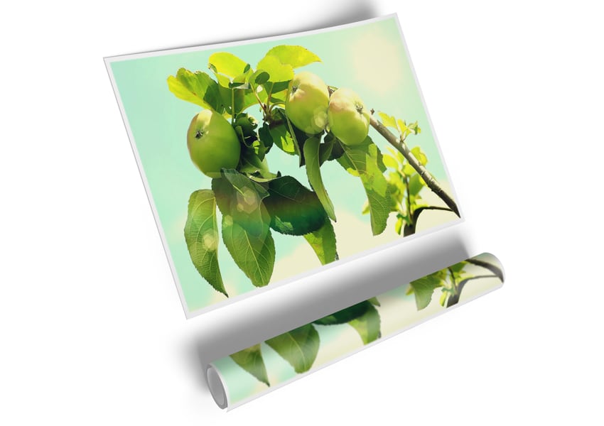 A vibrant Apple Tree poster printed on high-quality canvas, showcasing detailed leaves and apples.
